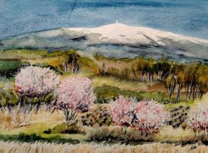 Voir le détail de cette oeuvre: Le printemps au Mont Ventoux